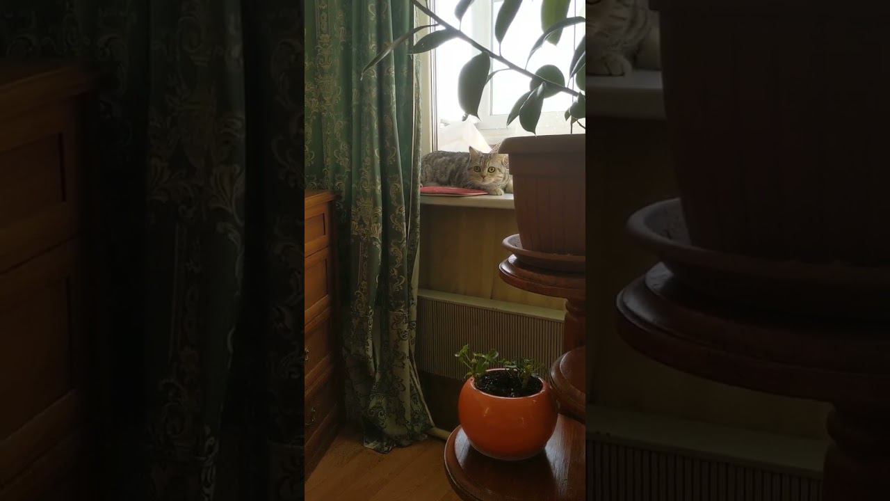 24 октября 2022 г. смотреть онлайн