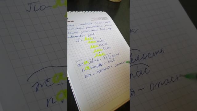 Правописание безударных гласных в корне слова смотреть онлайн