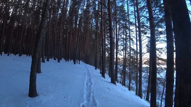 Вернулся из Донбасса в Сибирь. Впечатления от поездки. Как жители реагируют на видеокамеру. Окунево смотреть онлайн
