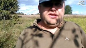 Сеять фацелию на медонос нужно весной!