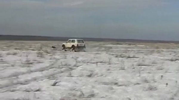 Гусеницы для Нивы / MOTUX