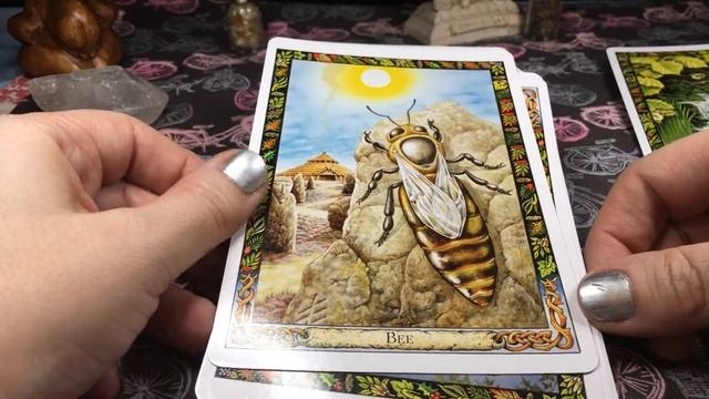 The Druid Animal Oracle Deck Walkthrough смотреть онлайн