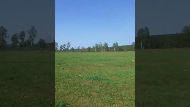 Интересный ВелоТур по горам и притесам р.Ай) смотреть онлайн