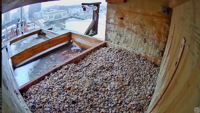 Camera 2 - 12/16/22 смотреть онлайн