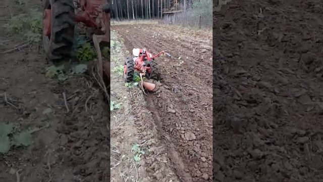 Мотоблок МТЗ-09Н пашет сам смотреть онлайн