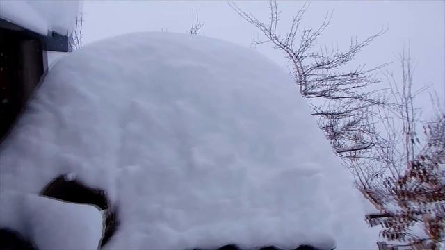 Влог | Зимний день с попугаями. Меню попугаев и воробья, полеты, отдых и другие житейские дела. смотреть онлайн