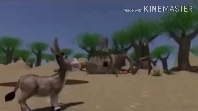 У шрека понос