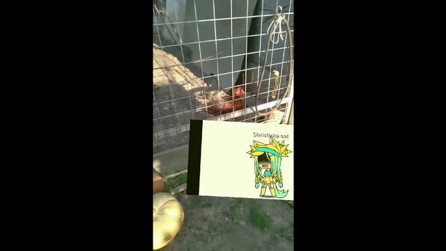 НЕ ДЕРЕВНЯ А РОСКАШ!/ Моя деревня😊 смотреть онлайн