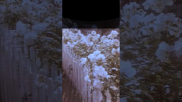 через сколько дней лето? смотреть онлайн