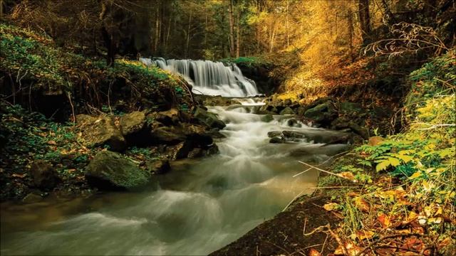 Ek Ong Kar Sat Gur Prasad - Dilpreet Bhatia смотреть онлайн