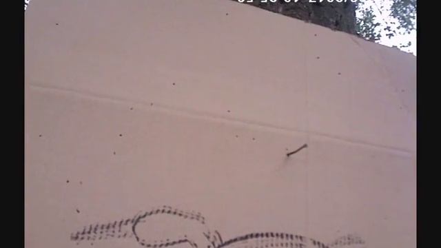 Отстрел патронов с самолитной дробью №5