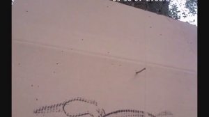 Отстрел патронов с самолитной дробью №5