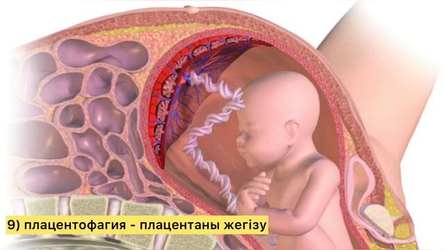 Мамина комната