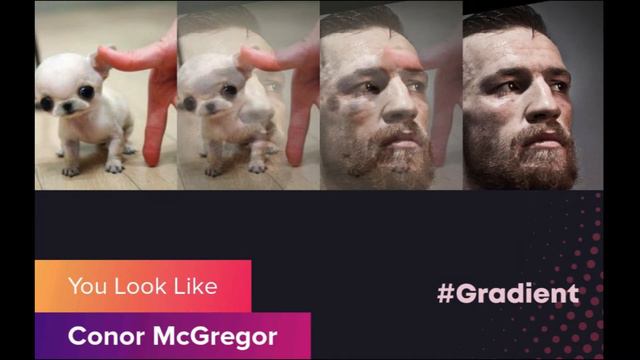 Gradient Memes смотреть онлайн