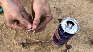 Удивительная и простая ловушка для птиц из банки