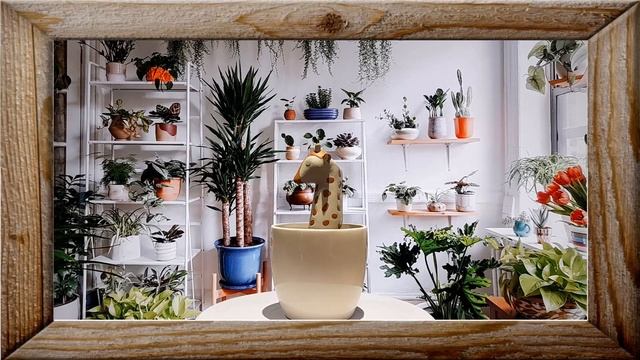 Gina Giraffe Plant Watering Spike By Sass & Belle [#EBAY] смотреть онлайн