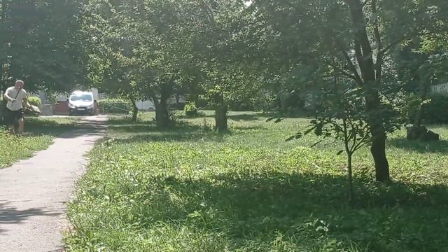 Кусачка стаффордширский терьер Альфа смотреть онлайн