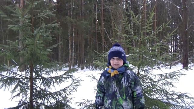 Как мы бесплатно срубили елку в Ленинградской области на Новый 2022 год смотреть онлайн