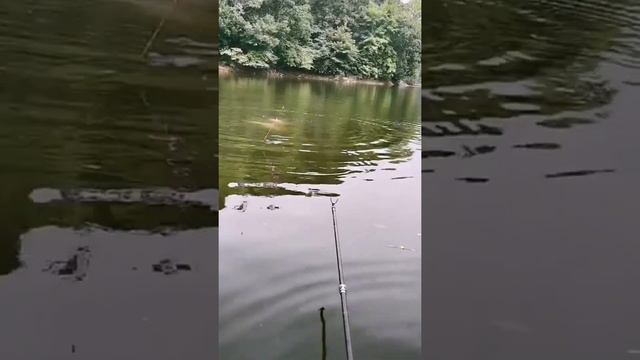 fishing videos female fishing videos fishing in the dark # 8 смотреть онлайн