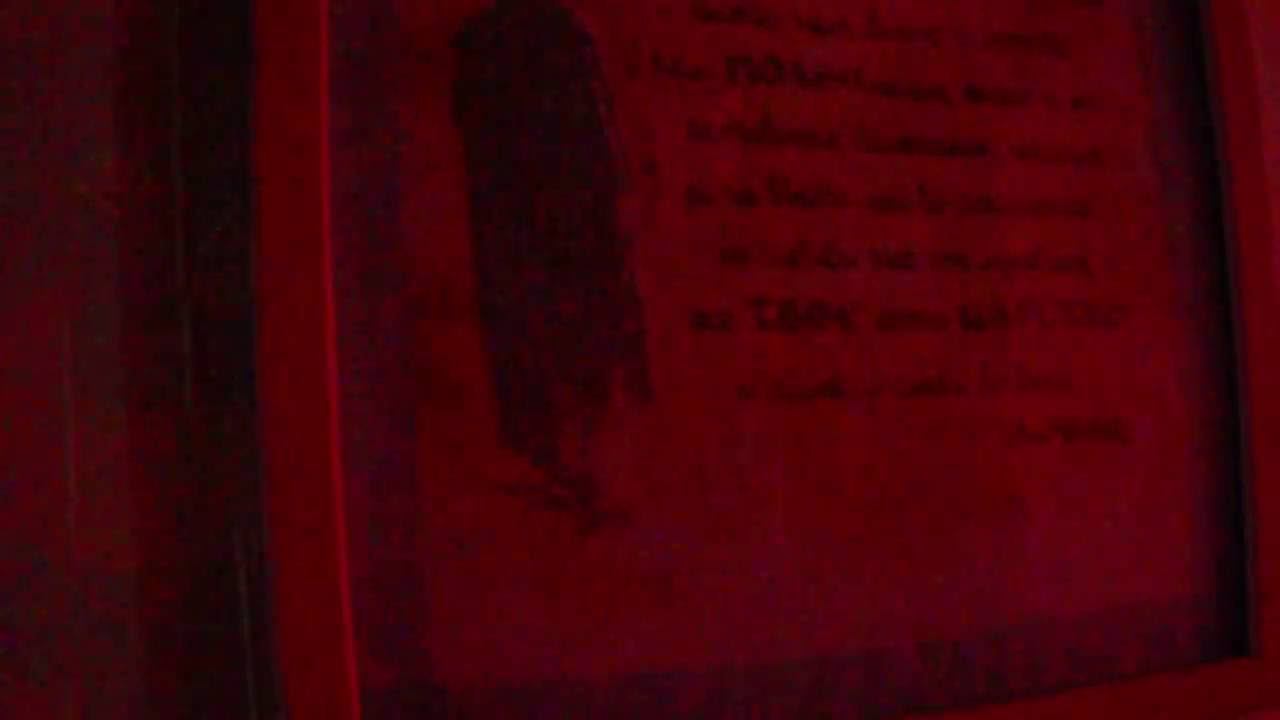 Виктория Семибратская жизнь и стихи