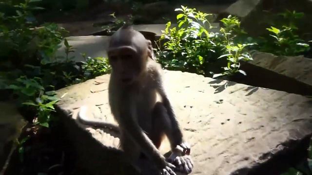 Important Proof! Incidences of Human Interference- Part 4 смотреть онлайн