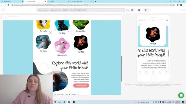 Advanced Mobile Styles: What to Do When the Drag-n-Drop Editor Is Not Enough? смотреть онлайн