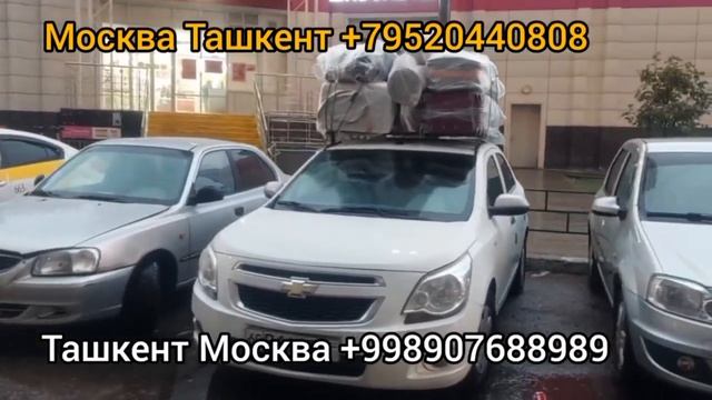 Россия Казахстан Ташкент такси Москва Ташкент такси Питер Ташкент такси #москваташкент смотреть онлайн