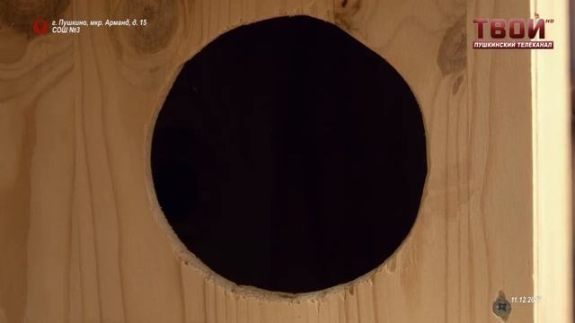 Домики для белок