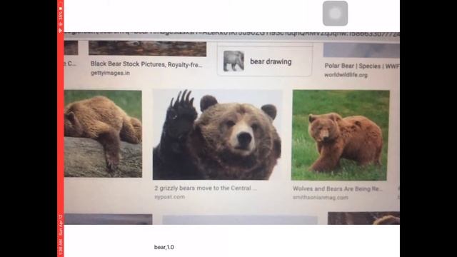CORE ML | IMAGE CLASSIFICATION | IOS | GIT HUB LINK AVAILABLE смотреть онлайн