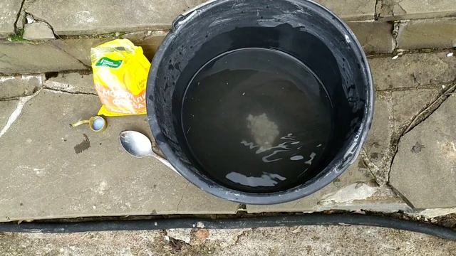 Смородина. Кипяток больше не нужен! Искореняющая обработка смородины по листу... смотреть онлайн