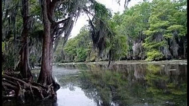 Green River. Creedence Clearwater Revival. (1969) смотреть онлайн