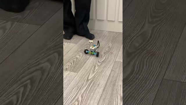 робот-страус.mp4 смотреть онлайн