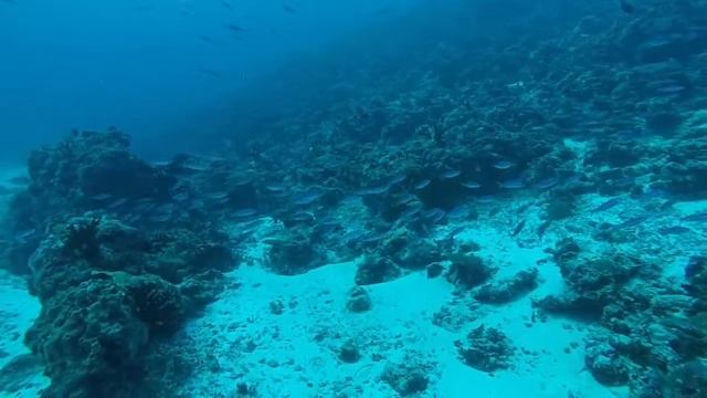 2015 01 Thinadhoo Intro смотреть онлайн