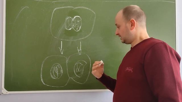 Биология. Деление клетки. Митоз смотреть онлайн