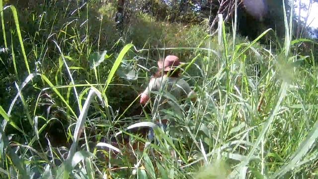 ловля рыбы сачком для аквариума смотреть онлайн