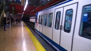 Городской транспорт для детей. Учим машинки в обучающем видео