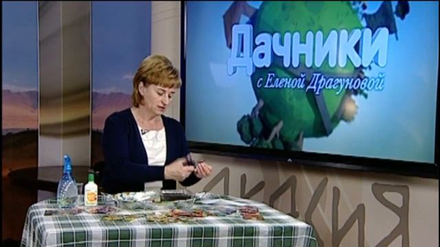 Дачники Выбираем декоративные растения для тенистых участков смотреть онлайн