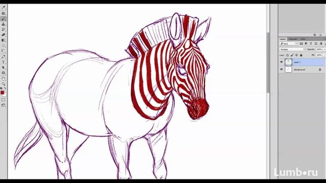 Рисунок Бурчелловой (саванной) зебры | Adobe Photoshop смотреть онлайн