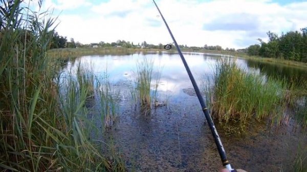 Много щуки в одном месте! Ловля на Jackall Magallon