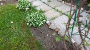 Ура! Отпуск на даче.