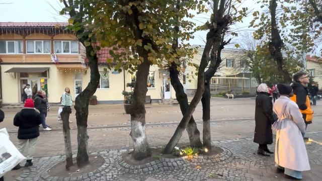 Zelenogradsk. Russia. Kurortny boulevard. November 2022. Зеленоградск. Куротный проспект. смотреть онлайн