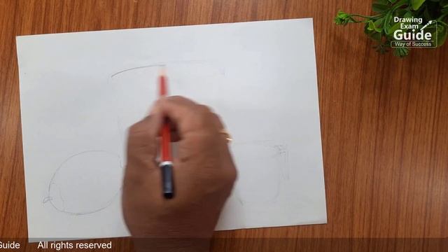 How To Draw Bucket-Mug-Green Coconut, How To Draw Object Drawing Elem, Drawing Exam Guide смотреть онлайн