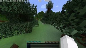 КАК УБРАТЬ СТАБИЛЬНЫЕ 60 ФПС В МАЙНКРАФТЕ?