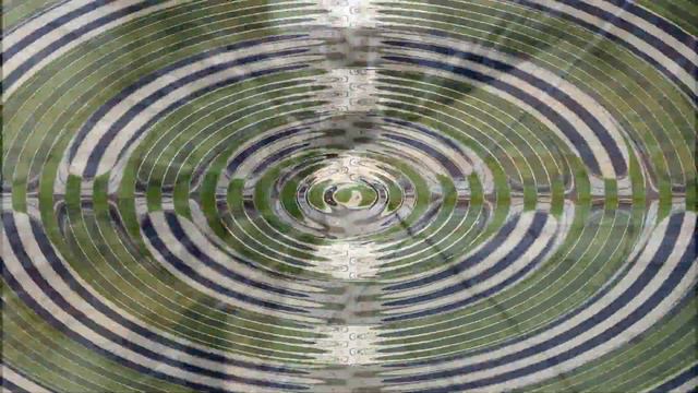 Поездка в Москву.Московский зоопарк. смотреть онлайн