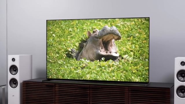 The Best TVs You Can Buy | My Handpicked Favorites смотреть онлайн