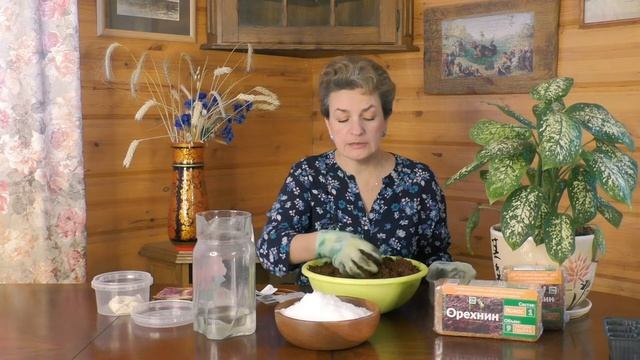 Посев семян в кокосовый субстрат Орехнин! смотреть онлайн