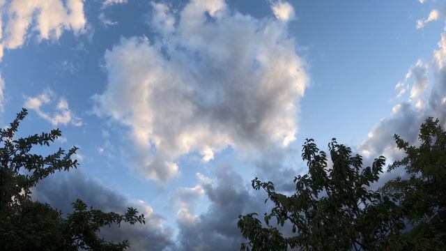 Sonata in Eb Nº2 by J Brahms 1st movement смотреть онлайн