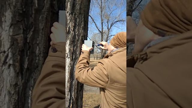 Красноярск. Остров Татышев. Прибиваем кормушки. смотреть онлайн