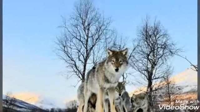 промотал я молодость смотреть онлайн