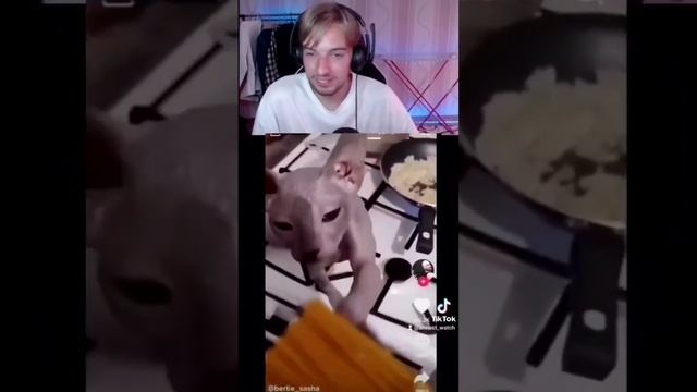 Музыкальные Перформансы и Импровизации